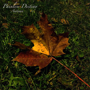 日下部加奈无码毛片
