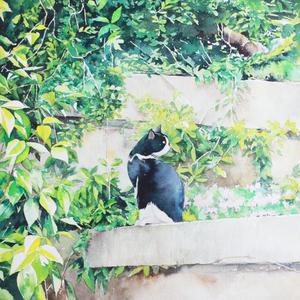 日下部加奈无码毛片
